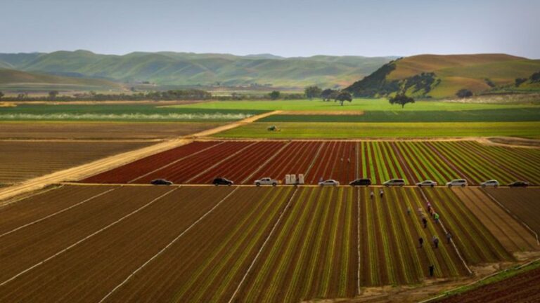 Emergent Connext website header Transforming Agriculture and Rural Communities by Enabling Real Time Data Driven Decision Making with trucks and workers in farm fields