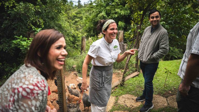 Puerto Roco hurricane Kitchen Garden Tour Dinner Credit Rafael Ruiz5 Photo El Pretexto scaled