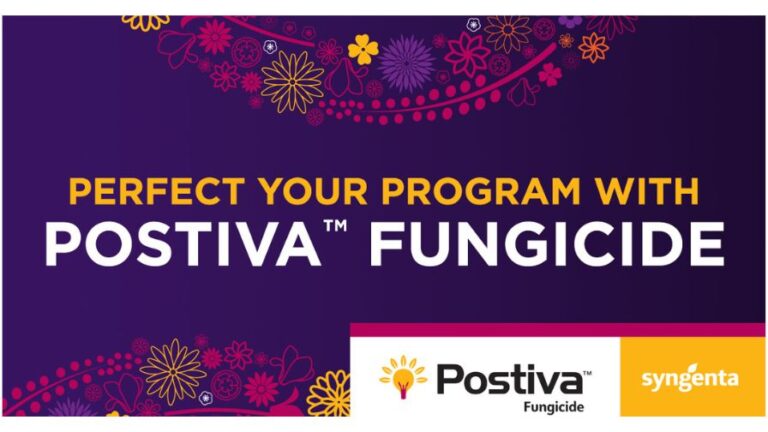 Postiva fungicide from Syngenta