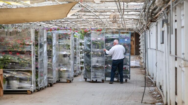 Hortica overlooked greenhouse insurance options