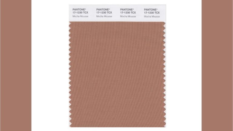 Pantone Color of the Year 2025 Mocha Mousse