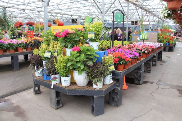 Switching the crate from horizontal to vertical adds more flexibility endcaps Als Garden Center