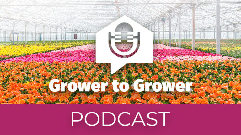 GG podcast Update Feature image
