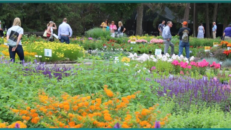 Darwin Perennials Day 2025 Registration Now Open