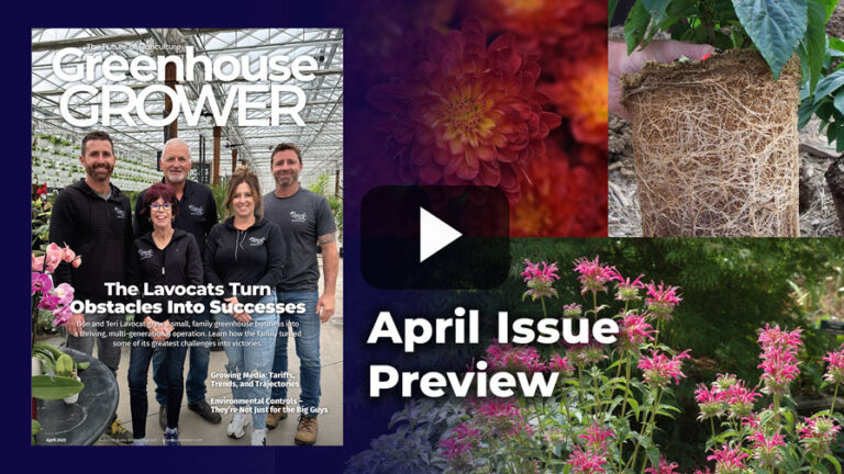 GG Issue Preview 2025 04 Feature