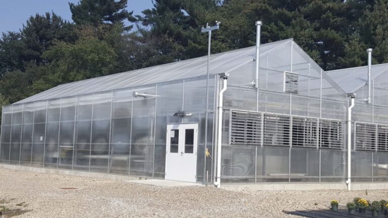 LLK Greenhouse Solutions efficiency safety and sustainability