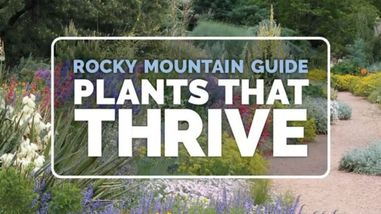 Rocky Mountain Guide Plants That Thrive new edition cover from the Colorado Nursery and Greenhouse Association