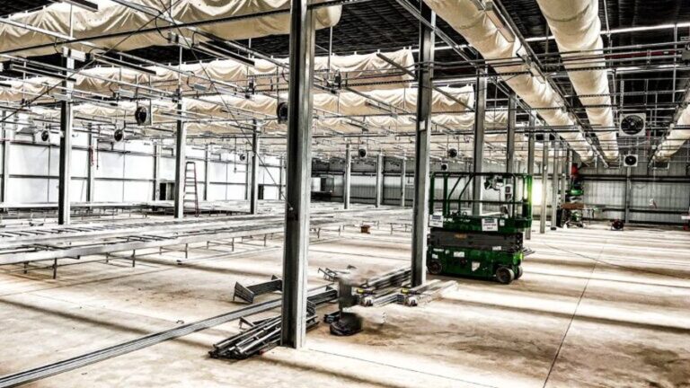 Greenhouse design bench spacing and density from LLK Greenhouse Solutions